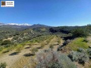 Kalochorafitis Kreta, Kalochorafiti: Landwirtschaftliches Grundstück mit 170 Olivenbäumen Grundstück kaufen